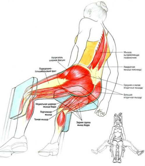 Cours en salle de sport pour les filles débutantes sans entraîneur de perte de poids. Des exercices