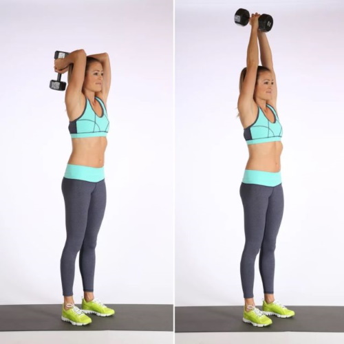 Exercices de base avec haltères pour femmes sur les épaules, le dos, les jambes, tous les groupes musculaires