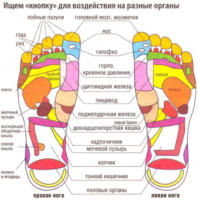 Points d'acupuncture sur le corps humain.Atlas, photo, comment faire de l'acupression