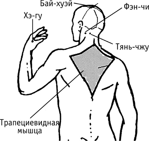 Points d'acupuncture sur le corps humain. Atlas, photo, comment faire de l'acupression