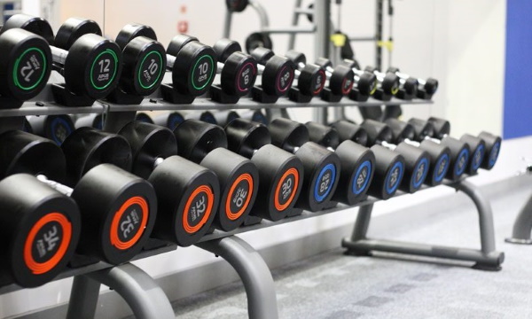 Exercice d'épaule pour les filles dans le gymnase. Tutoriels vidéo, photo