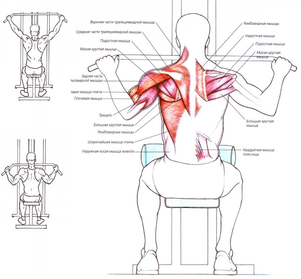 Exercice de traction verticale de la machine. Technique pour s'asseoir, sur le dos, derrière la tête, avec une prise étroite pour les femmes