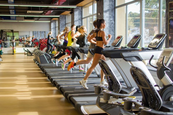 Équipement de fitness dans la salle de gym. But, noms, comment utiliser les filles