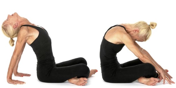 Exercices de yoga simples pour les débutants, pour perdre du poids, du dos et de la colonne vertébrale