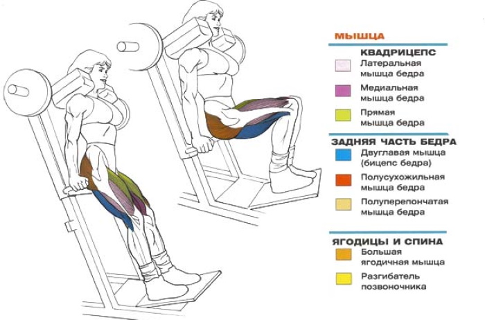 Squats dans un simulateur de piratage (machine) avec haltère, marche arrière, presse à jambes, pour les fesses