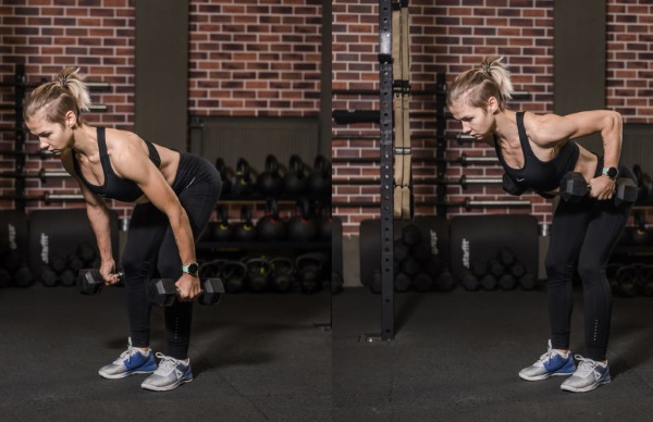 Rangée d'haltères dans une pente vers la ceinture. Quels muscles travaillent, technique d'exercice. Vidéo