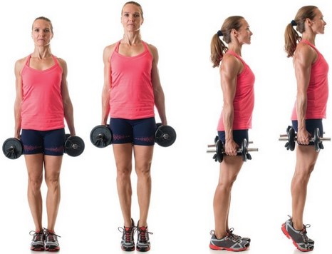 Entraînements pour les filles dans le gymnase pour brûler les graisses. Exercices, programme hebdomadaire