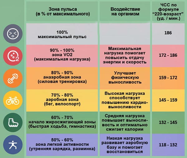 Pulse pendant l'exercice. La norme chez les femmes, les hommes, les enfants, les adolescents, les athlètes