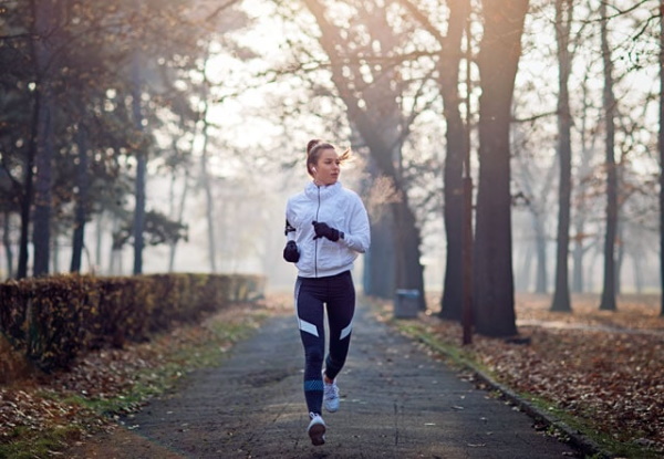 Équipement d'exercice de rue pour les sports sur le terrain. Comment le faire correctement, elliptique, puissance, marche