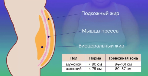 Ventre hormonal chez la femme. Comment supprimer ce à quoi il ressemble, les raisons, les exercices