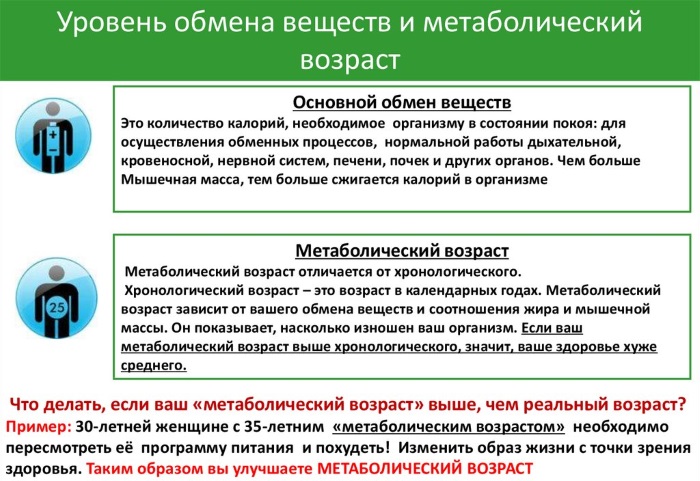 Âge métabolique. Qu'est-ce que c'est, comment calculer, réduire