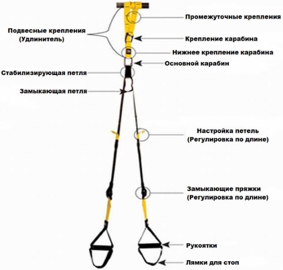 Formation TRX. Qu'est-ce que c'est, contre-indications, description des exercices