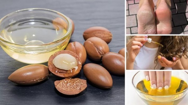 Huile d'argan pour le visage. Propriétés de l'arganier, application pure, avis