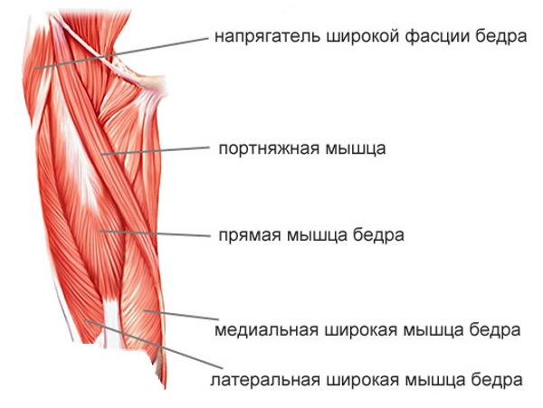 Comment rendre les hanches d'une fille plus larges et plus rondes. Exercices comment faire