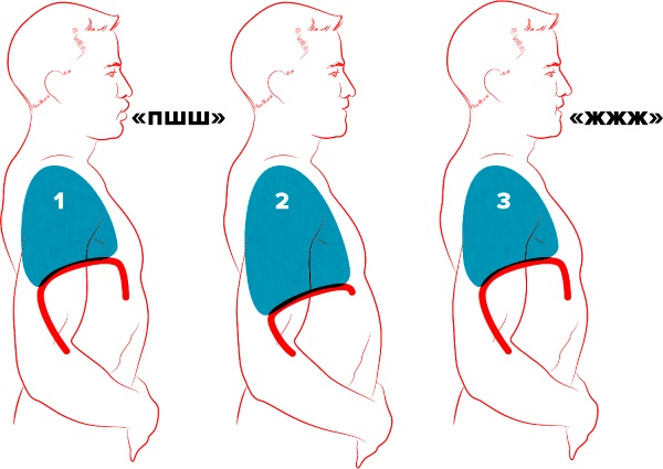 Comment gonfler le muscle abdominal transversal. Exercices d'entraînement