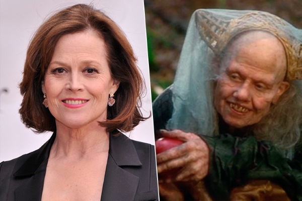 Sigourney Weaver. Photos dans sa jeunesse, maintenant, en maillot de bain, avant et après la chirurgie plastique, biographie