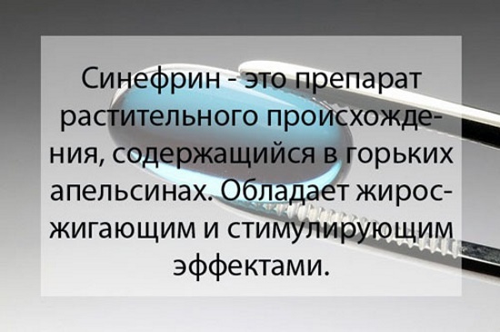 Synéphrine (synéphrine) pour la perte de poids. Mode d'emploi, avis