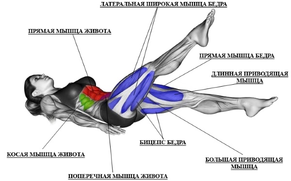 Exercice des ciseaux de jambe: quels muscles travaillent, les avantages, comment le faire