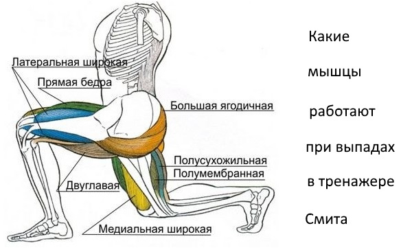 Lunges in Smith pour les filles. Technique d'exécution depuis la plate-forme, recul, marche, banc