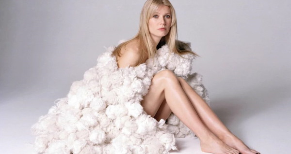 Gwyneth Paltrow. Photos chaudes en maillot de bain, sous-vêtements, avant et après chirurgie plastique, figure, biographie, vie personnelle