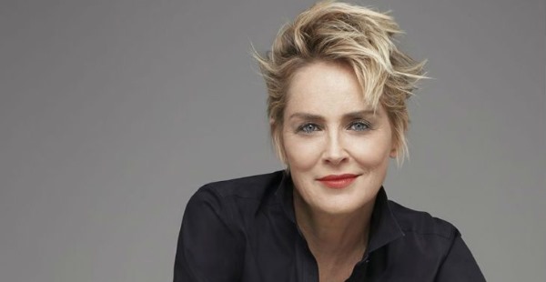 Sharon Stone.Photos chaudes dans sa jeunesse, maintenant, avant et après la chirurgie plastique, biographie, vie personnelle