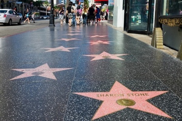 Sharon Stone. Photos chaudes dans sa jeunesse, maintenant, avant et après la chirurgie plastique, biographie, vie personnelle