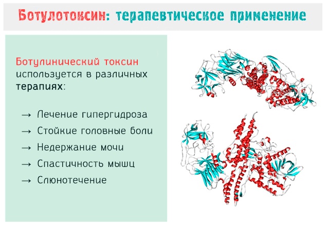 Analogues de Botox pour le visage de la production russe, France, Corée. Xeomin, Dysport, Relatox