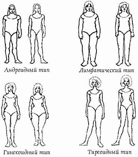 Les filles ont des chiffres. Types, types, formes, photos de nationalités