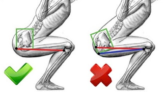 Squats d'haltères de sternum. Technique, quels muscles travaillent, les avantages