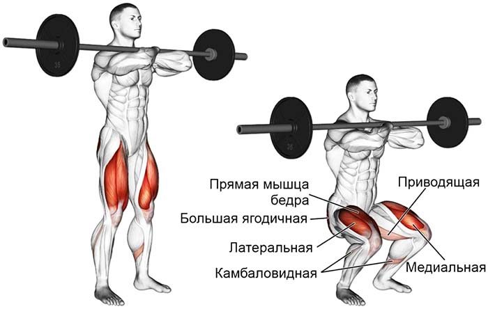 Squats d'haltères de sternum. Technique, quels muscles travaillent, les avantages