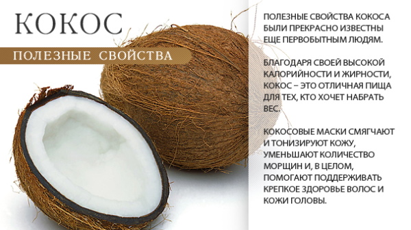 Lait de coco pour les cheveux, le visage, le corps. Comment utiliser